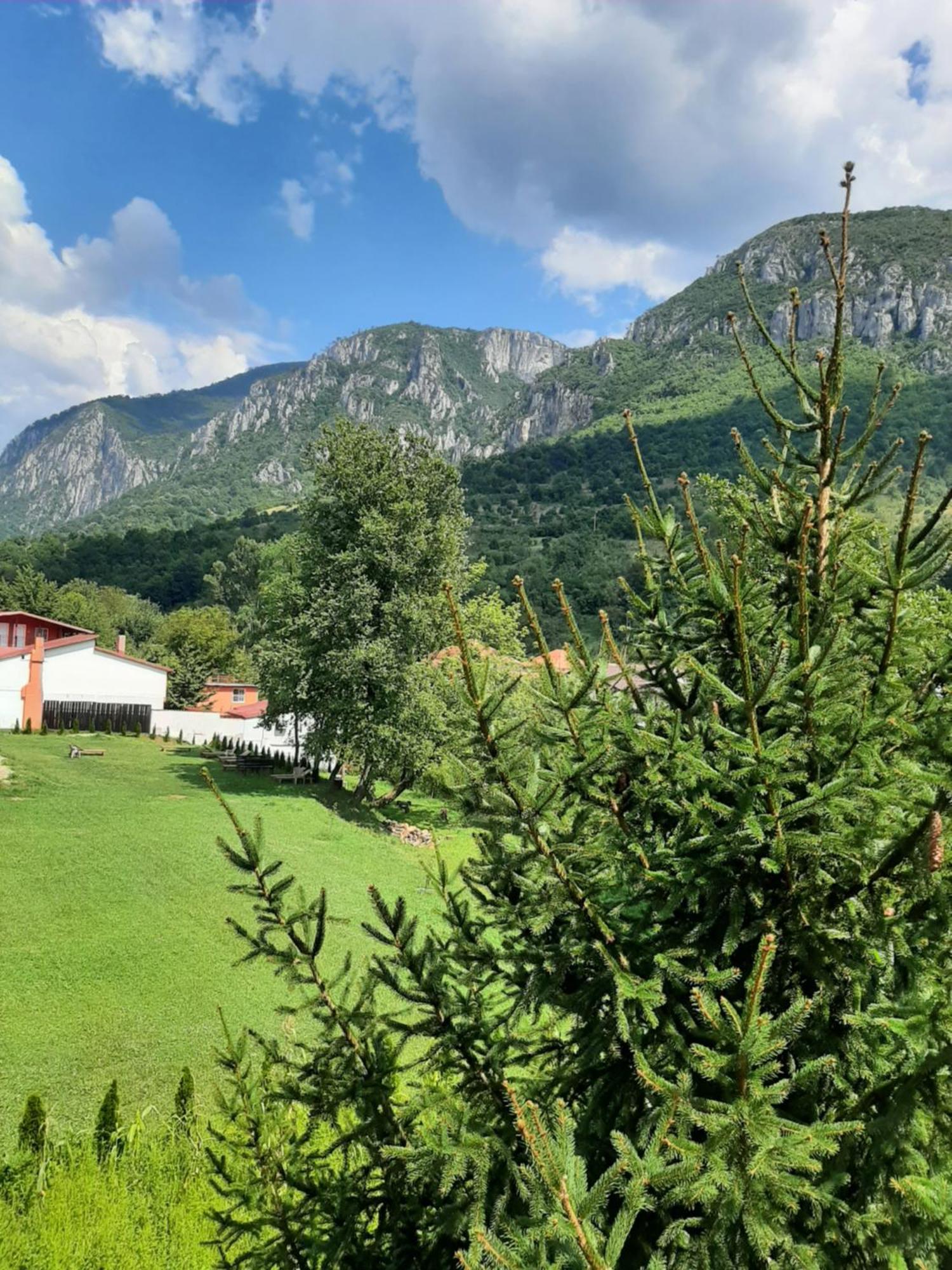 Pensiune Safrane Baile Herculane Exterior photo